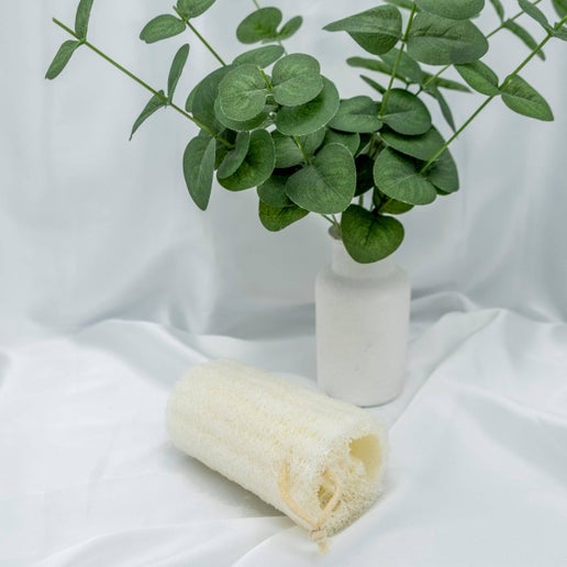 Natural Loofah Sponge