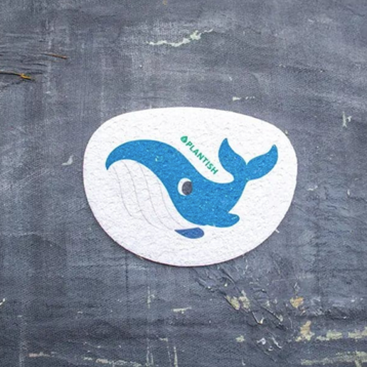 Pop Up Sponge - Whale