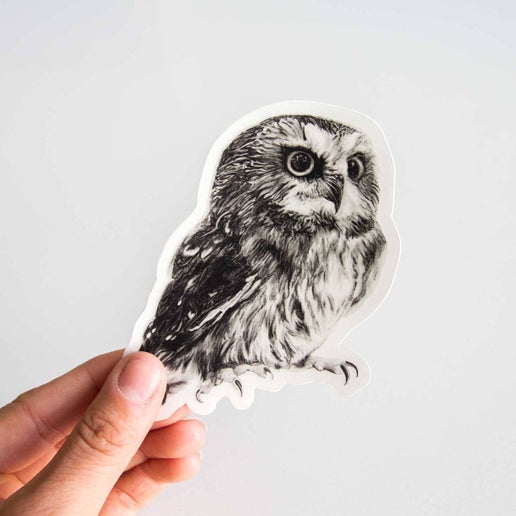 Pen On Paper - Owl Sticker
