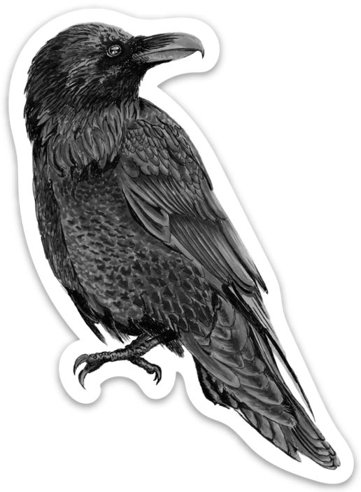 Pen On Paper - Raven Magnet