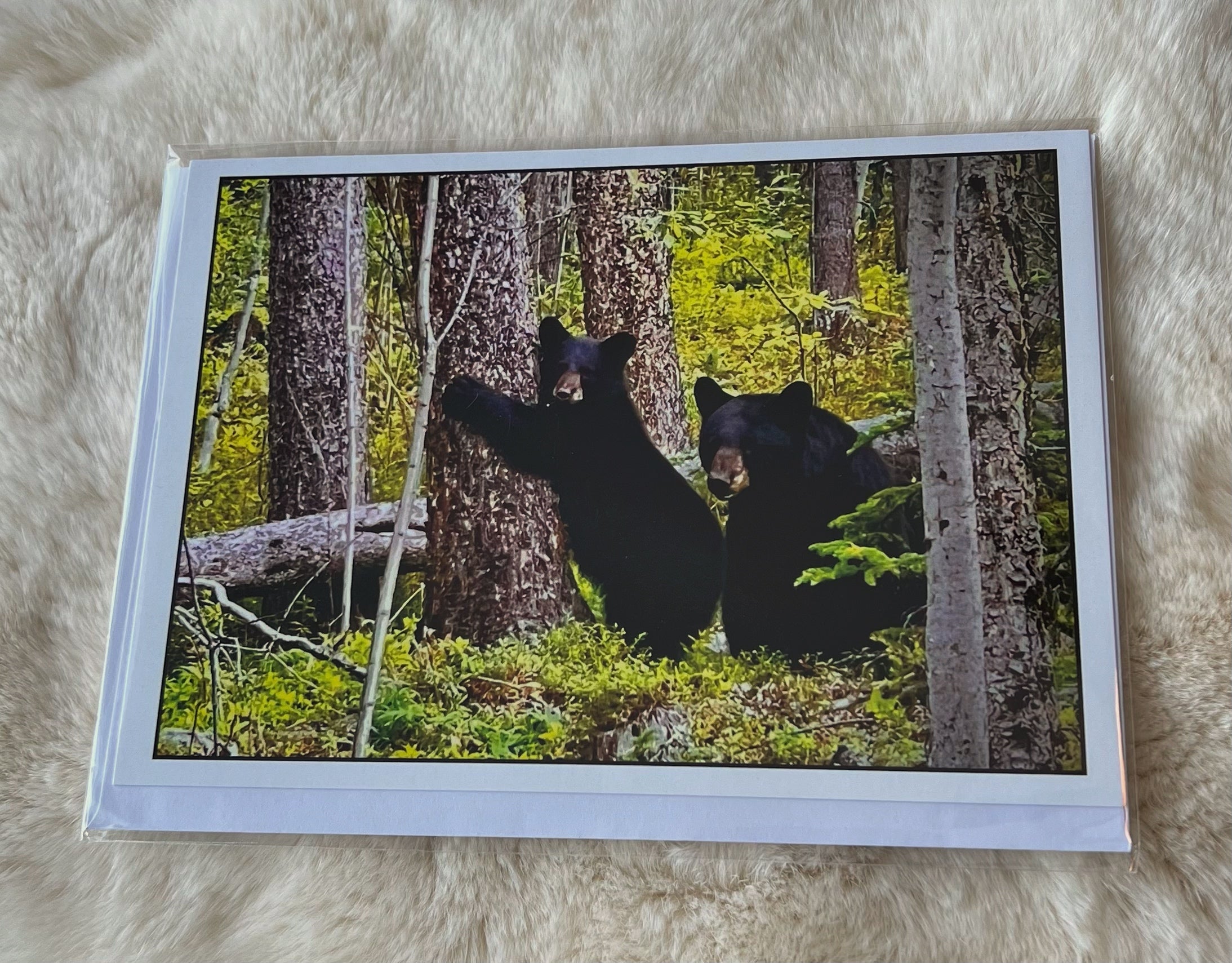 Bears Photo Greeting Card
