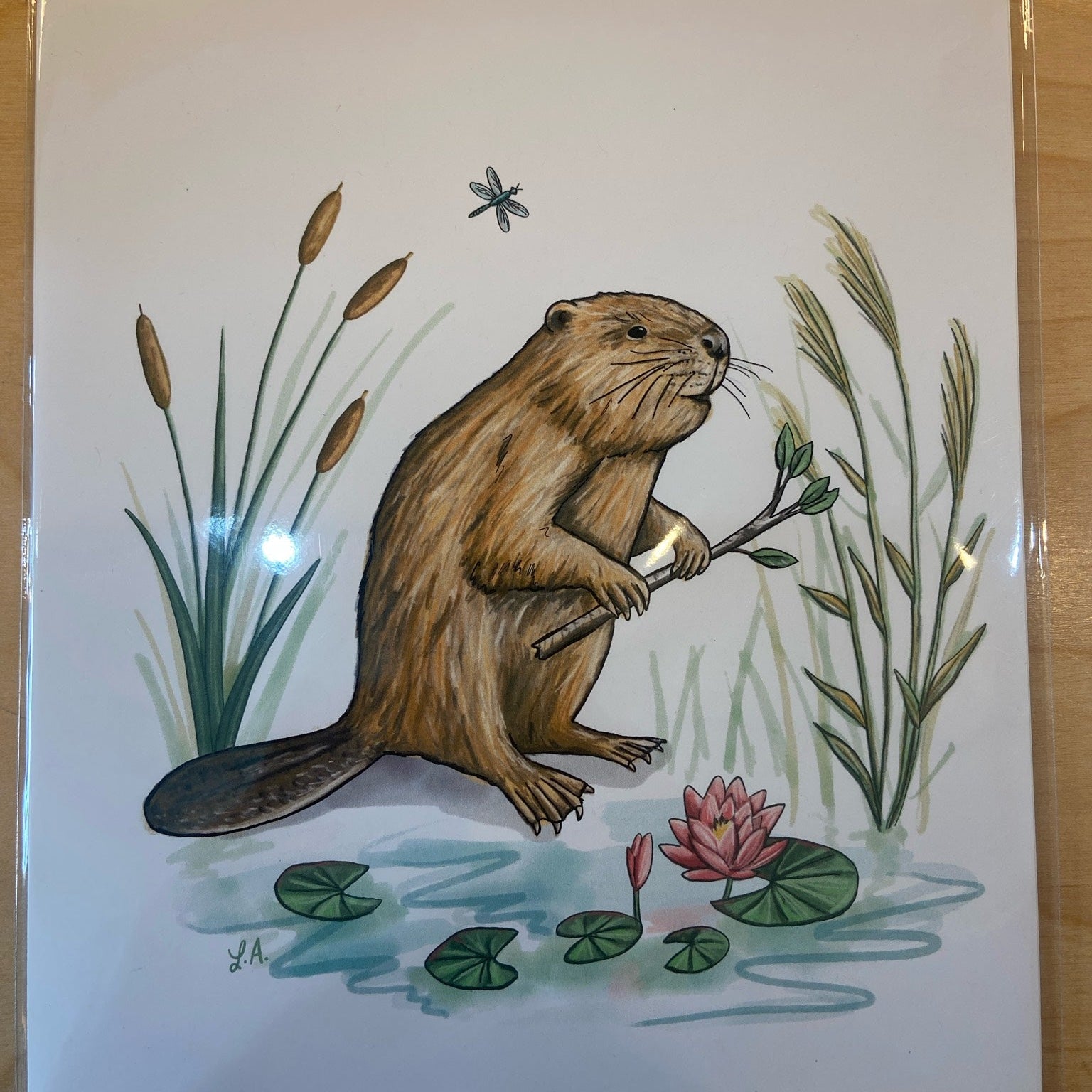 Beaver Art Print