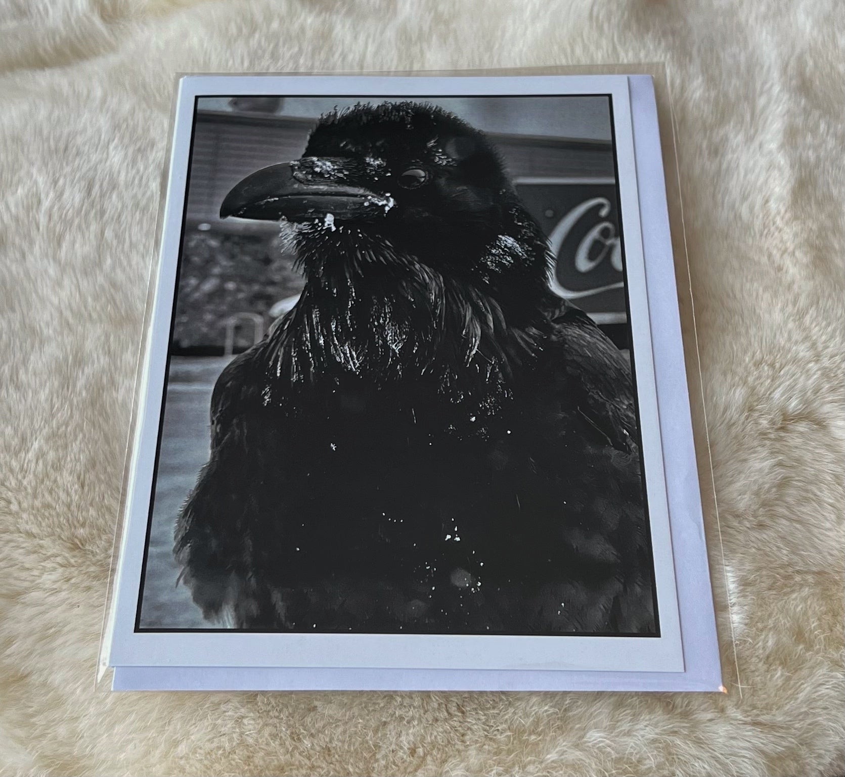 Raven Photo Greeting Card